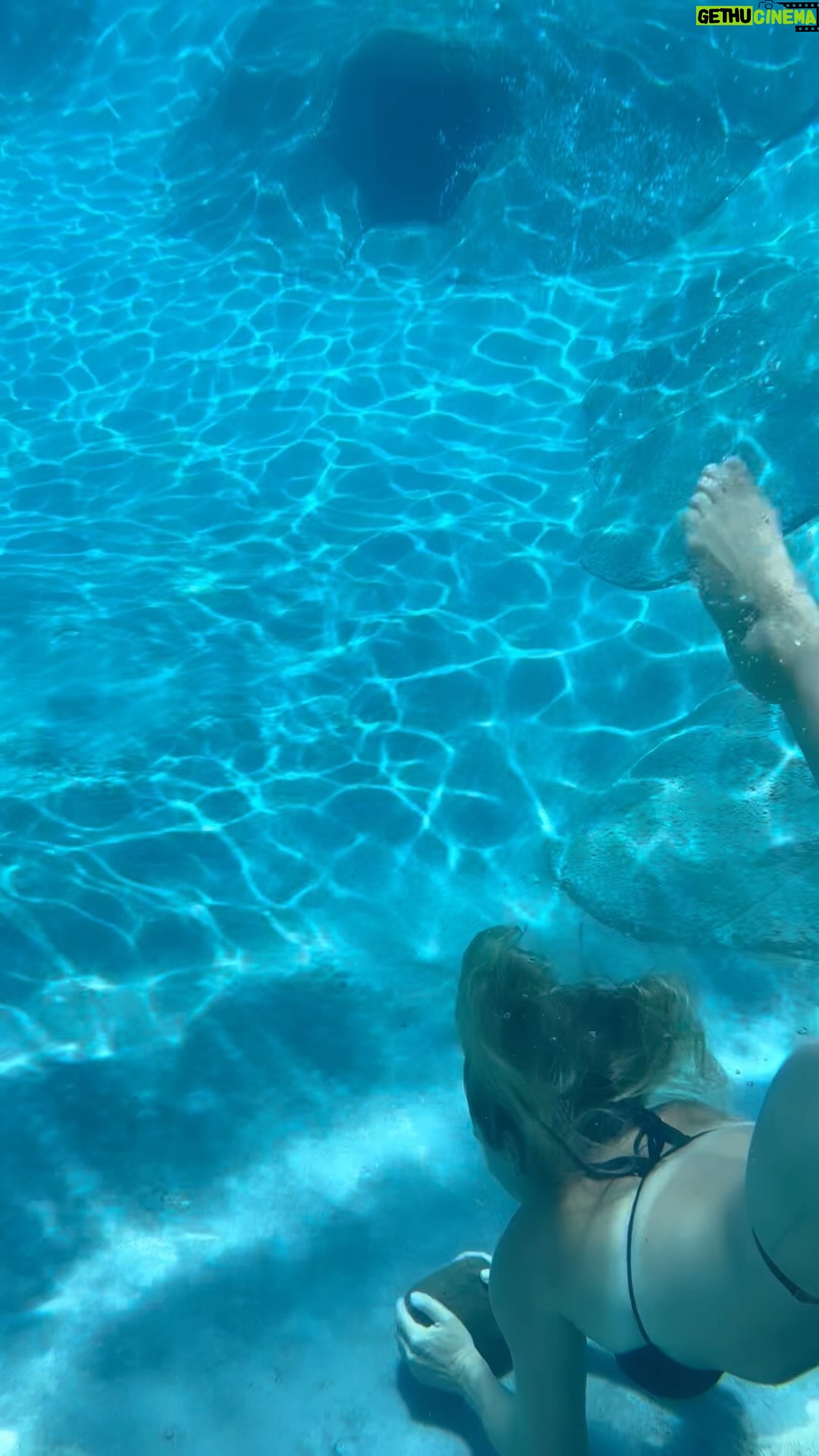 Agnes Bruckner - 470 Likes - 🌊 in my happy era 🌊
#dork #funny #favorite #underwater #love #agnesbruckner #bliss #happy