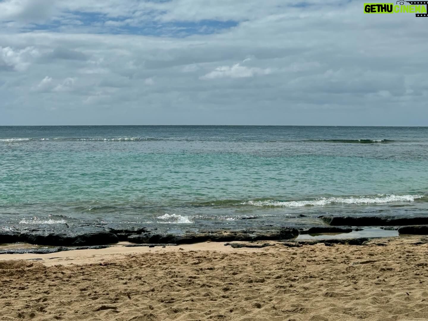 Agnes Bruckner - 337 Likes - First summertime North Shore trip unlocked 🔓
Adventures with my babies is the best!
Swipe for pure magic! 👉🏽👉🏽👉🏽👉🏽👉🏽
#northshore #kauai #love #adventure #vitaminsea #agnesbruckner #mama #babies #letsgo #corememories