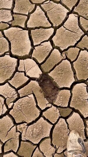 Ahikar Azcona Instagram - Poco a poco se anda lejos…

En verdad es una lástima la sequía que hay en el embalse de Aguilar de Campoo🥲