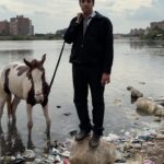 Ahmed EL-Ghandour