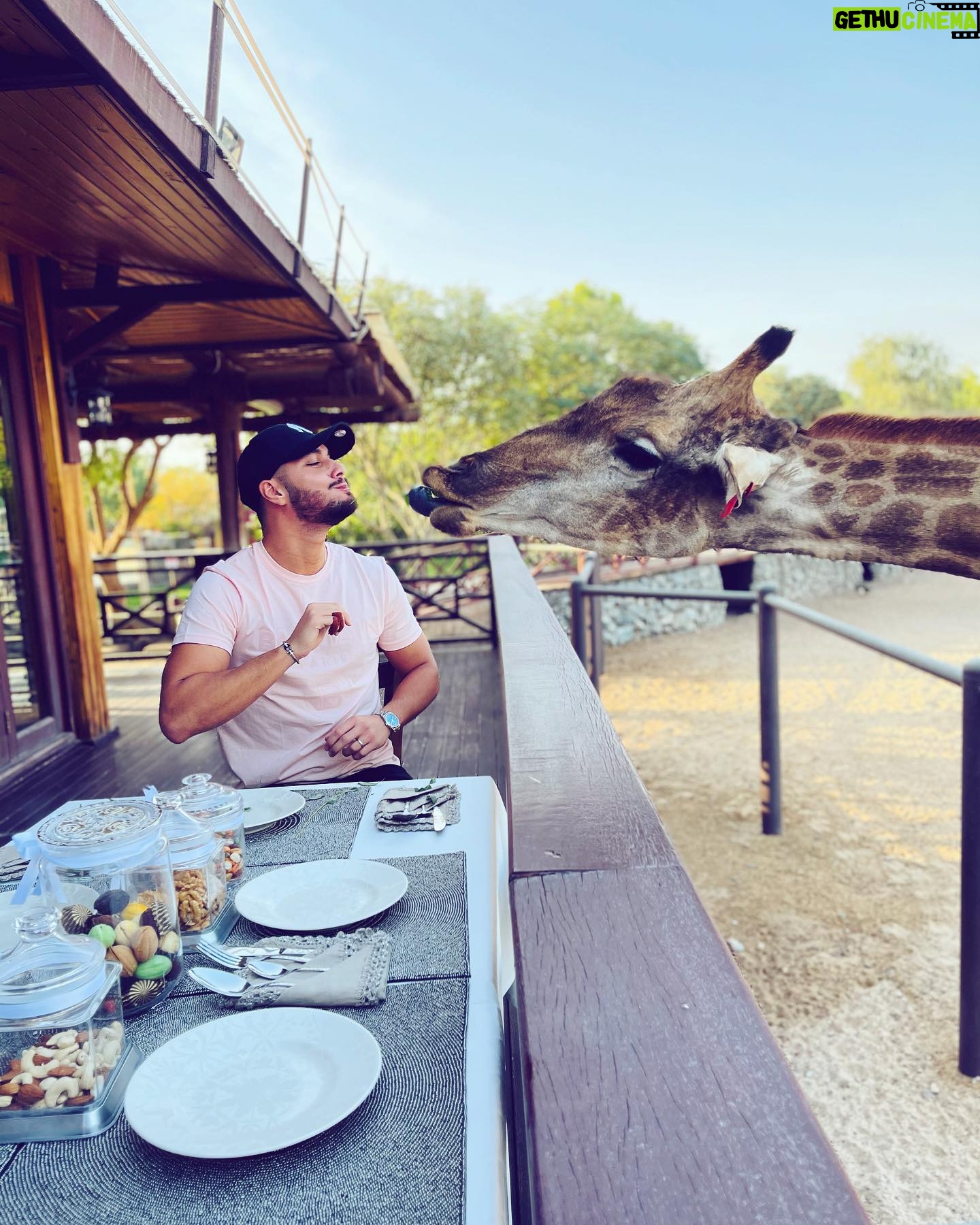 Ahmed Harroun - 13K Likes - 😘🦒
Et vous est-ce que vous aimeriez dîner avec des girafes ? 🤩
#dubai #love #animals #goodvibes #giraffe #dinner #fun #sun #memories #kiss