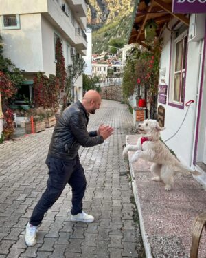 Ahmed Mourad Instagram - A four-legged unconditional love and fur.