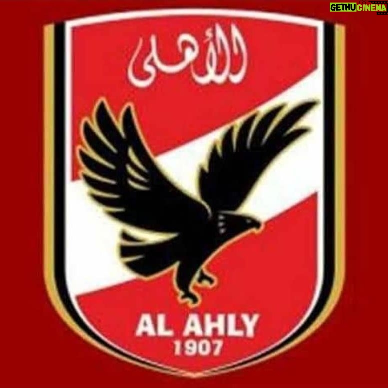 Ahmed Rizq - 10.4K Likes - مبروووك يا اهلاويه 💃💃💃💃 أبطال أفريقيا 💪💪💪💪💪❤❤❤❤