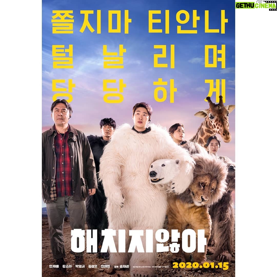Ahn Jae-hong - 22.4K Likes - #해치지않아
2020.01.15