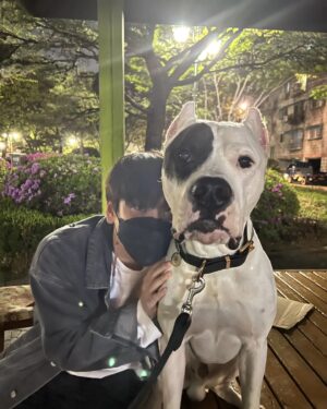 Ahn Seung-gyun Instagram - 론이는 나를 끌고다녔다..😂