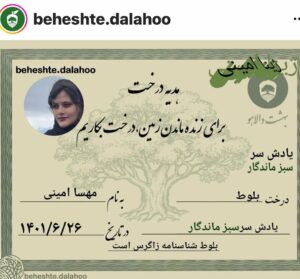 Ahoo Kheradmand Instagram - بهشت دالاهو با کاشتن یک درخت بلوط به نام #مهسا_امینی یاد او را سبز و ‌جاودانه کرد.🙏
#مهسا_امینی #درختکاری #بهشتدالاهو 
#mahsaamini