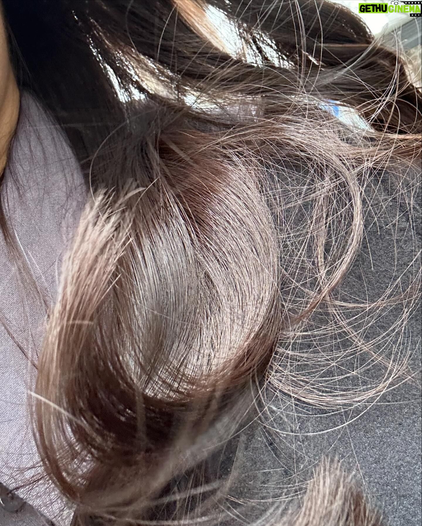 Ai Negishi - 1.3K Likes - 💇♀️✨💇♀️
.
美容室いてきた🌸
カットとカラーしてもらたよん✌️
3枚目が色わかりやすい🫶
@mineyukimorikami
森上さんいつもありがとうございます✂️✨
.
#hair #hairstyles #hairsalon
#美容室 #カラー #表参道 #表参道美容室
#TRUNC