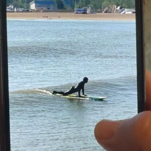 Aida Economu Instagram - Miros de mare și miros de smirnă. Sare-n păr și salt în gol. Cercei din chihlimbar și salbă de salcâm galben.

O zi ca oricare alta, doar că la Tuzla și la Constanța. Am plănuit cu @staruiala.bogdan.dan.44 surf și surf skate la Eforie. Ciao și alla prossima 🏄🏻‍♀️🏄🏽‍♂️