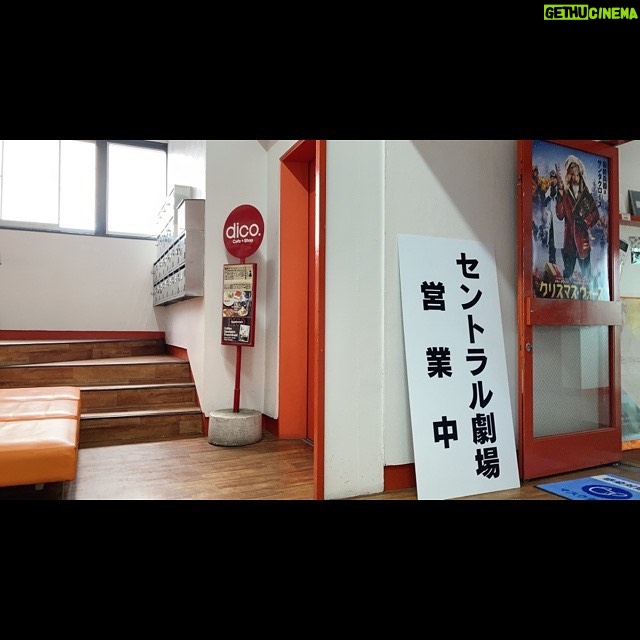Aimi Satsukawa - 726 Likes - 🎥2021
長崎みんな優しかった