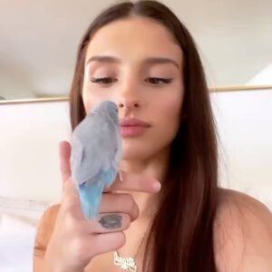 Aitana Rinab Perez Instagram - My sweet Panchito and I always share a birthday. Today would have been our birthday but sadly & surprisingly yesterday morning when I went to wake him up he had passed away. My heart is broken. I love you forever my little baby sidekick 💔 rip 🦜 thanks for being the best friend to always cheer me up. I’ll miss you so much