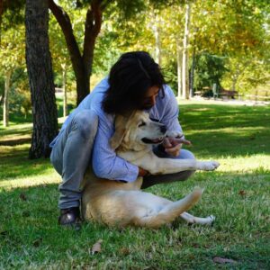 Aitor Luna Instagram - Echando la mañana con Nala....una #perrapolicia que como muchos otros perretes después de unos años trabajando se merecen una #jubilacion tranquila con gente que se anime a adoptarlos ......#adoptaunjubilado https://adoptaunjubilado.org/