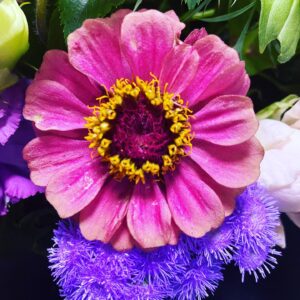 Akiko Higashimura Instagram - この年になっても誕生日にお花をいただける人生ってなんて幸せなんだろう！漫画でお返しできるように45歳も楽しく描いていこうと思います！！！#東村アキコ #higashimuraakiko #海月姫 #東京タラレバ娘 #かくかくしかじか #ママはテンパリスト #美食探偵明智五郎  #雪花の虎 #着物#偽装不倫