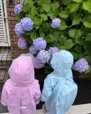 Akira Ishida Instagram - 双子ちゃんのカッパと紫陽花の相性が良すぎた
#娘たち
#石田たち
#双子
#梅雨
#紫陽花