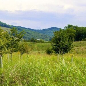 Al Gore Instagram - My earliest lessons on the environment were at my family farm. Learning about the fragile balance of life on this land inspired my work to protect it. This #EarthDay, let us appreciate the natural world around us and renew our commitment to safeguarding humanity's only home.