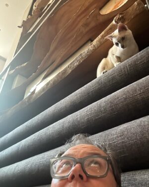 Alan Carr Instagram - Oh, hello! 🐈