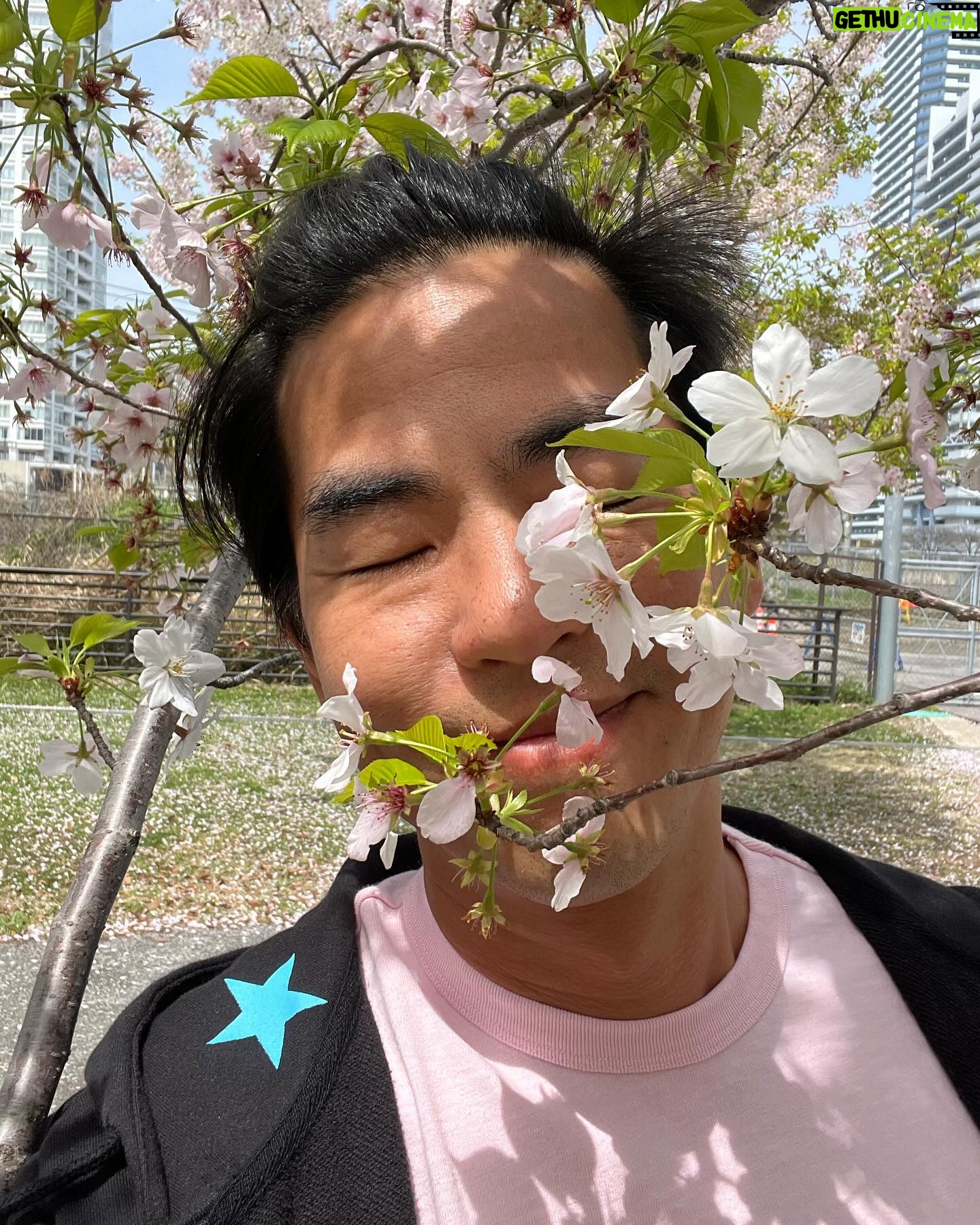 Alan Kuo - 1.5K Likes - ę
¢ę
¢ęå¾č³ę«»č±ēåæ«ęØ
#sakura #yokohama #åØę°å«å幓čÆäøē巔迓ę¼å±ę