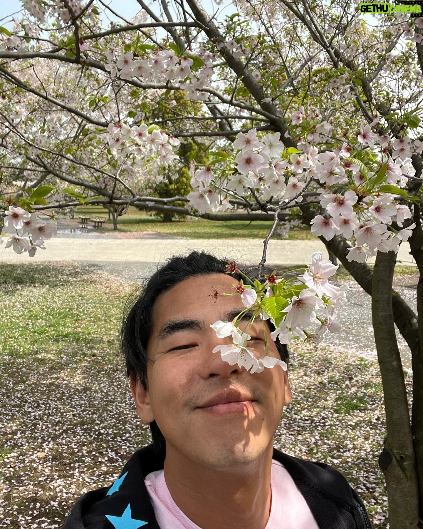 Alan Kuo - 1.5K Likes - ę
¢ę
¢ęå¾č³ę«»č±ēåæ«ęØ
#sakura #yokohama #åØę°å«å幓čÆäøē巔迓ę¼å±ę