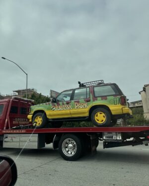 Alan Tudyk Instagram - It’s a jungle out here #lafreeway