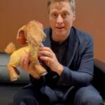 Alan Tudyk