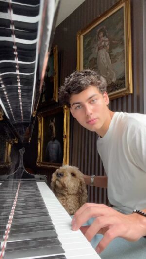 Alec Golinger Instagram - Runaway 🎹 🐶 
*
*
*
#piano #music #relaxing #dog #sounds #beautiful #escape #reels #instareels #chill #vibes #relax #soul