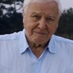 Alec Utgoff