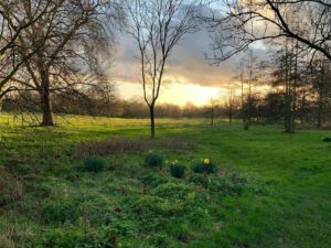 Alec Utgoff Instagram - Late walk in Hyde Park. Lovely fresh air with intervals of weed wafting in now and again...Absolutely magical