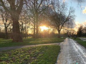 Alec Utgoff Instagram - Late walk in Hyde Park. Lovely fresh air with intervals of weed wafting in now and again...Absolutely magical