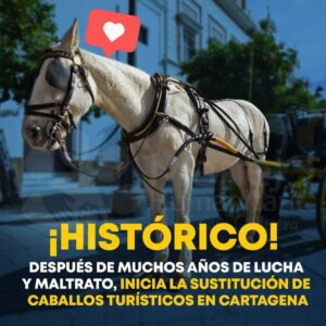 Alejandro Riaño Instagram - 