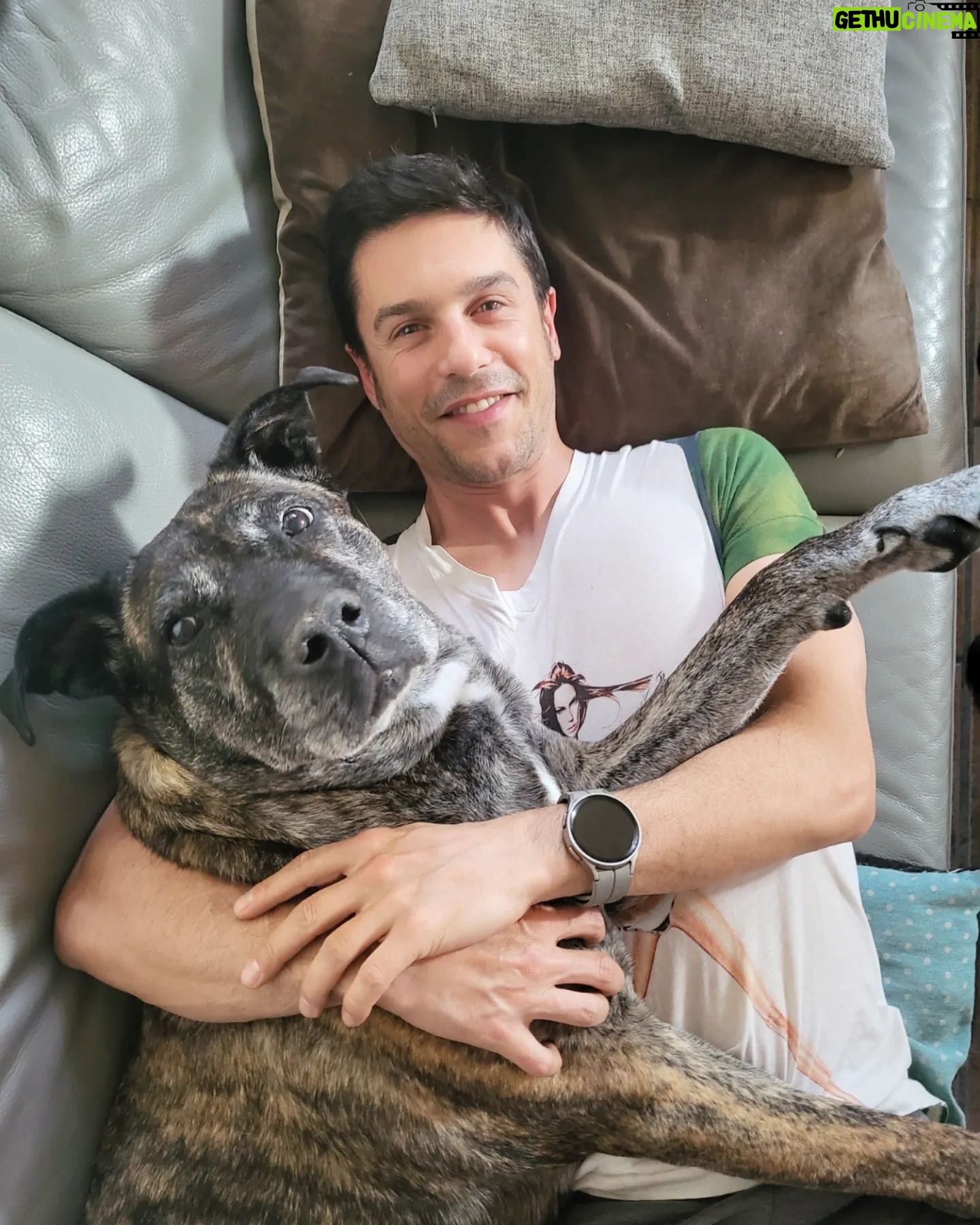 Alejo Sauras - 15.8K Likes - Tarde de lluvia....tarde de perros....