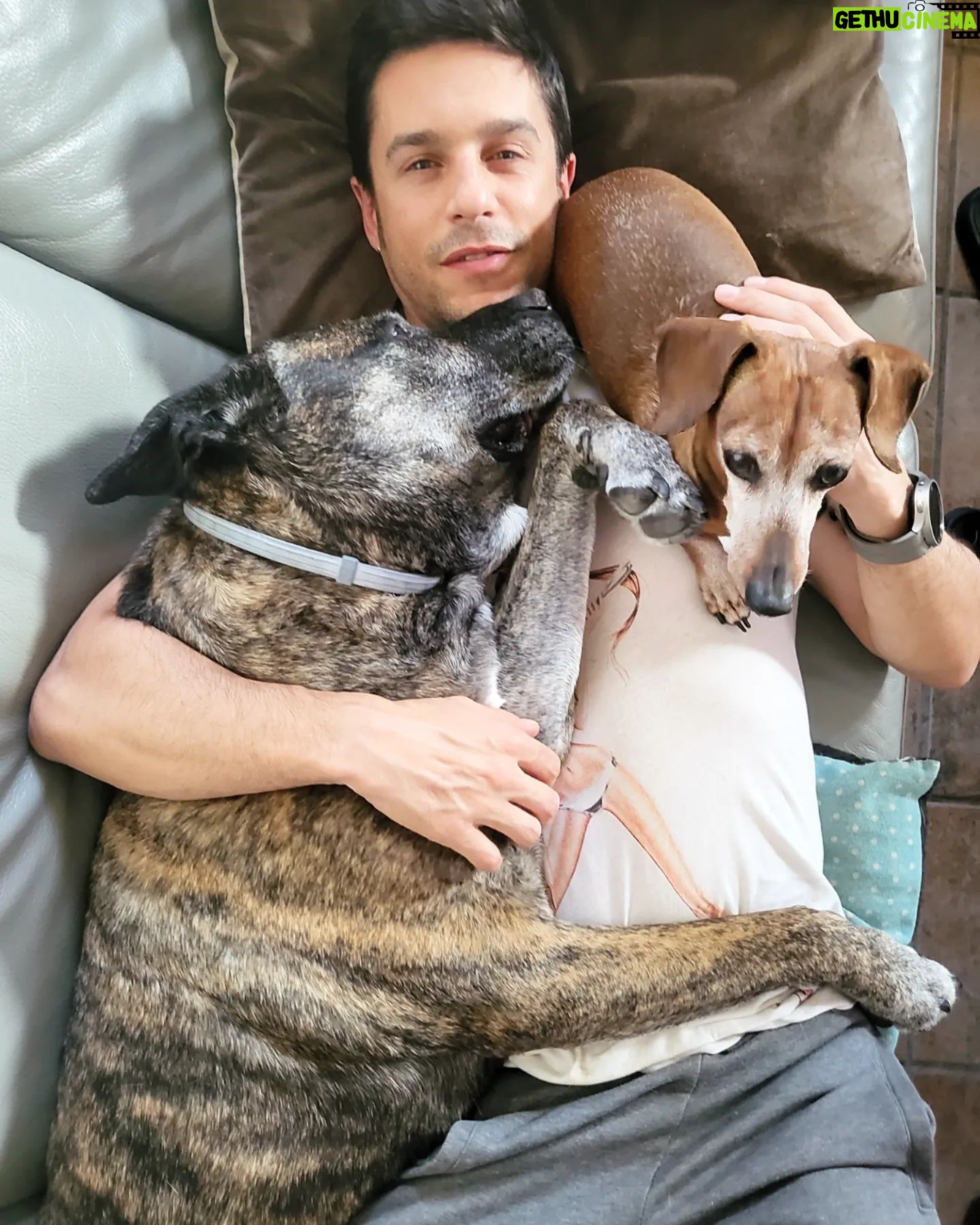 Alejo Sauras - 15.8K Likes - Tarde de lluvia....tarde de perros....