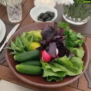 Aleksandr Buynov - 19.7K Likes - Привет, друзья! А вот и первый урожай с нашей теплицы. Лето – классное время, когда можно принимать гостей на открытом воздухе, угощать своими овощами, приготовленными на гриле, и обсуждать творческие планы. Июль в этом году раздает жару от души – плюс 35 в тени. Хотя , по-другому летом и не бывает. Ну что, друзья, вы там как справляетесь с жарой? #буйнов #урожай #москва #лето #жара