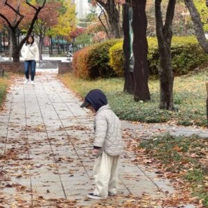 Aleksandr Shuliko Instagram - Настоятельно рекомендуем Корею ❤️🇰🇷
