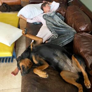Alessandra Torre Instagram - She learned how to nap from the best in the biz. 
#author #authorlife #sundaynaps #rottweiler #rottie #rottweilersofinstagram