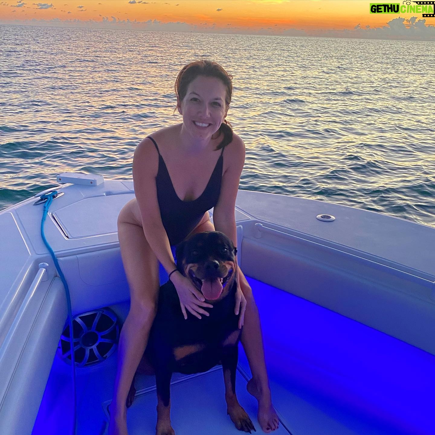 Alessandra Torre - 614 Likes - Took the boat out for dinner and the sunset. The trip was Whiskey approved. ☺️ #authorlife #rottweiler