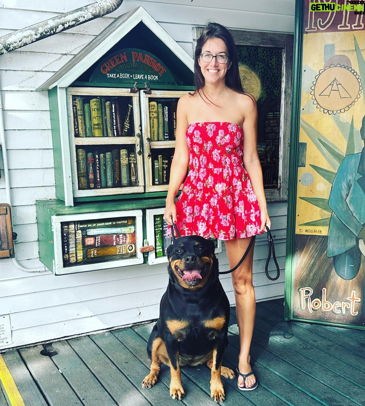 Alessandra Torre - 450 Likes - When in #keywest, be sure to stop by The Green Parrot. It has free air for your bike tires, fresh water for your dogs, and free books! Oh yeah, plus alcohol and music and blah, blah, blah. It’s Whiskey-approved, and did I mention it has free books? 😂📚😎🥰