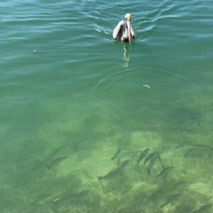 Alessandra Torre Instagram - A gorgeous February day in #Geigerkey - I’ve got an afternoon of writing and meetings ahead. Exciting stuff brewing.
