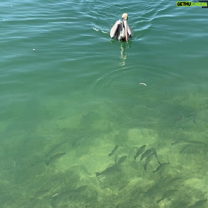 Alessandra Torre - 422 Likes - A gorgeous February day in #Geigerkey - I’ve got an afternoon of writing and meetings ahead. Exciting stuff brewing.