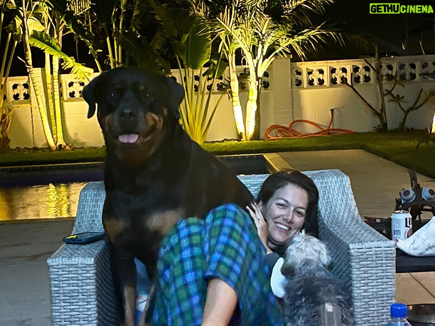 Alessandra Torre - 512 Likes - We definitely need bigger chairs.
❤️
#rottielove #rottweiler #puppylove #authorlife #islandlife