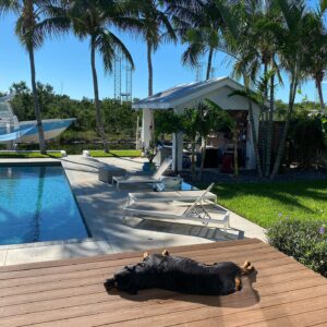 Alessandra Torre Instagram - Today’s vibe. #islandlife #keywestfl 
🏝 
#keywest #lazysaturday #floridalife