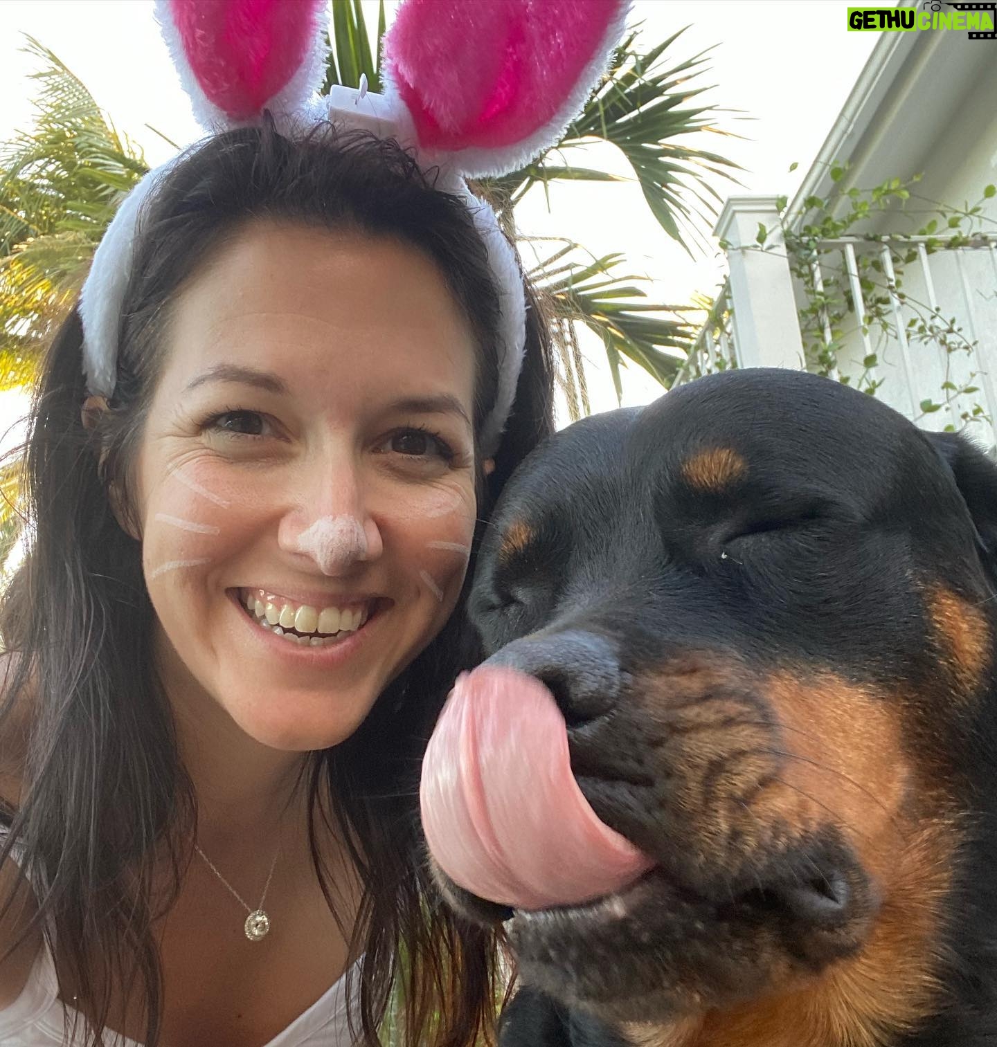 Alessandra Torre - 637 Likes - It was a great #halloween and #fantasyfest season. I’ll be dressed as “reclusive writer” for the next nine months, just stocked up on extra sweatpants and socks. 😂
📚 🧦 🤤
#halloweencostume #bunnyears #bunnycostume #rottielove #rottie #hulk #shehulk #lizardwizard #fantasyfest2021 #keywest
Photo credit on final pic: @frzn_perfection