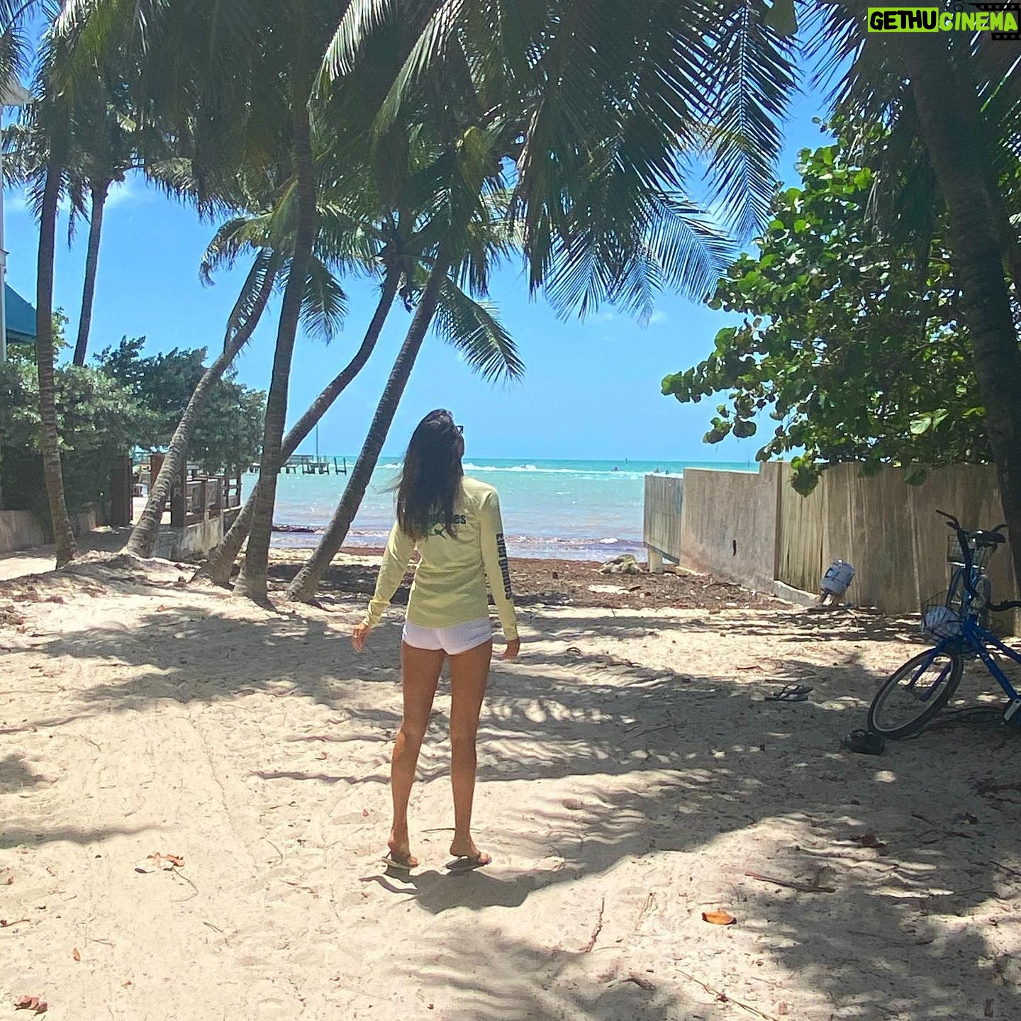 Alessandra Torre - 493 Likes - 89 degrees, wind is blowing, and I am 3,000 words away from being able to shut down the computer and hit the beach. 🎉 #authorlife