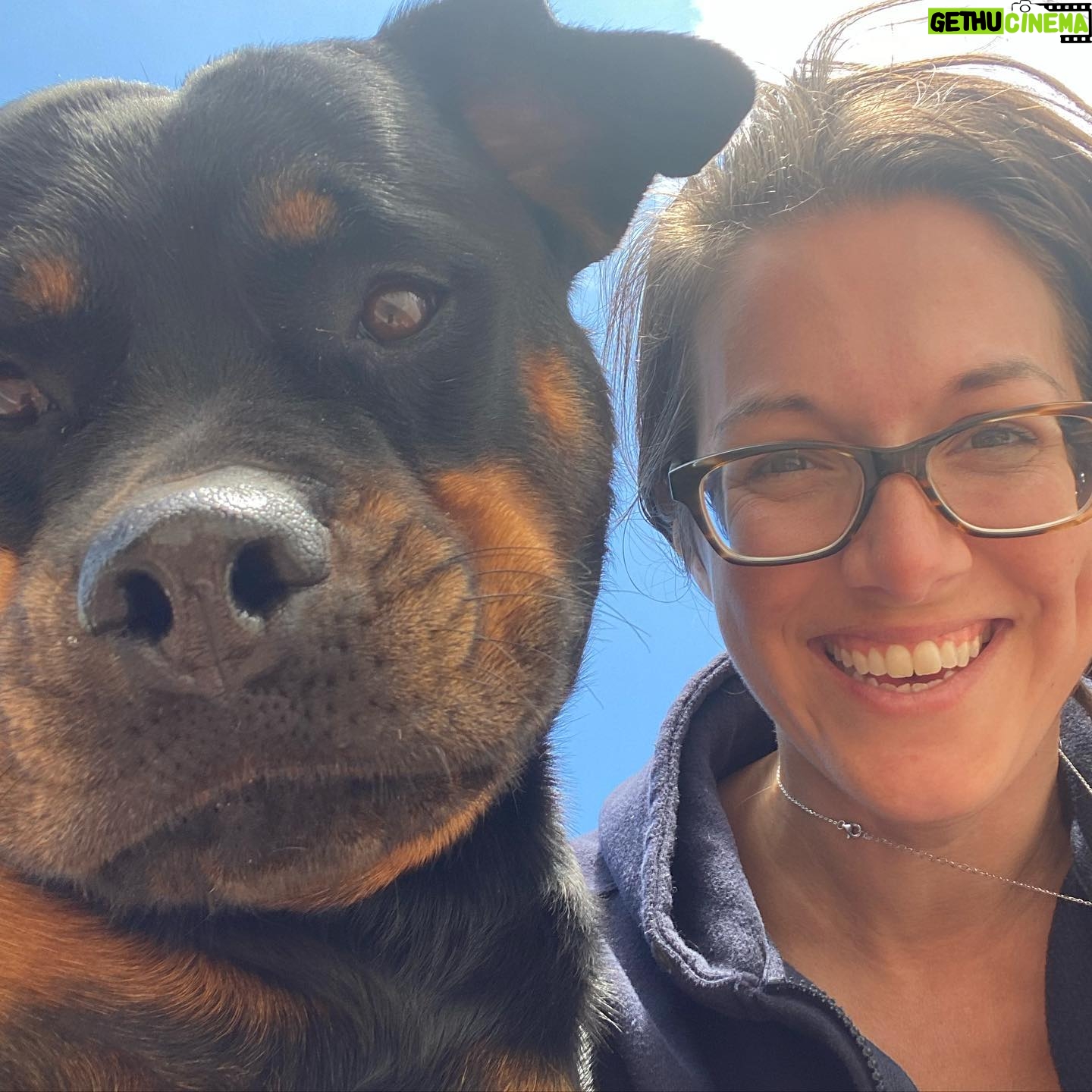 Alessandra Torre - 536 Likes - I have the prettiest girl in the whole world. #rottielove #happydog #rottweilersofinstagram
