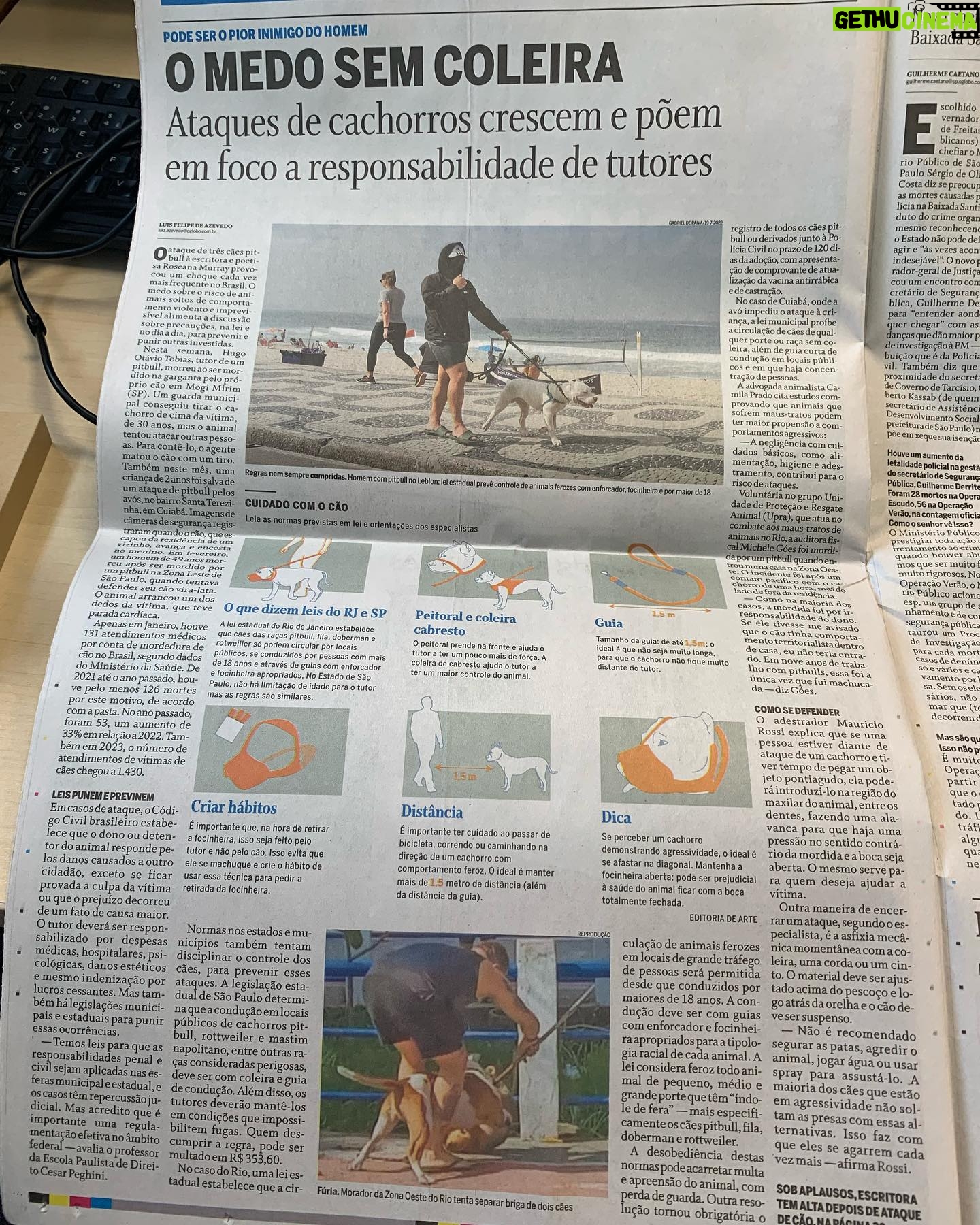 Alex Escobar - 2.5K Likes - Amo cachorro. Dito isso, acho um grande absurdo cães soltos na praia, na rua, em locais públicos. Existem regras, leis, mas são ignoradas. Passou da hora de se dar atenção a esse problema, essa irresponsabilidade.