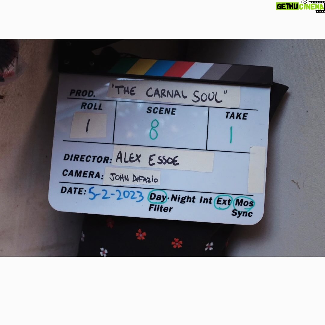 Alex Essoe - 556 Likes - It is with great excitement and enthusiasm that I announce to you all the acceptance of my short film, The Carnal Soul, into @lashortsfest!! I am beyond proud of my cast and crew for their hard work and collaboration. Thank you @rialtomoon for your masterful performance and a most special thanks to @alexisiacono for being the best producer a gal could ask for. So excited to continue sharing this journey with all of you!