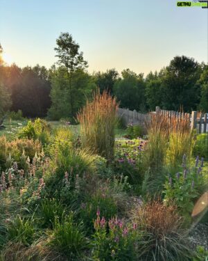 Alex Nevsky Instagram - Tellement d’heures passées à créer ce lieu complètement magnifique avec @vanpailong 🌻

@piscinesmova 
#jardin #homegarden #pietoudolfinspired