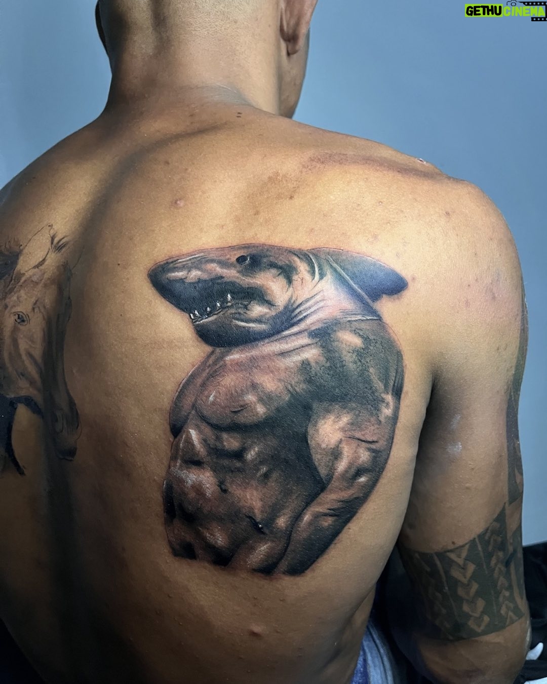 Alex Oliveira - 1K Likes - Tubarões não nadam com sardinhas. O nome da fera braba
@davidtattooink , obrigado 🙏!!
#oesportepodemudarvidas