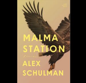 Alex Schulman Instagram - Det tog ett par år, men den är äntligen färdig!! Efter sommaren kommer ”Malma Station” ut i handeln. Boken utspelar sig på ett tåg. Den som vill kan redan nu förbeställa ett SIGNERAT exemplar. Kolla i så fall länken på min profilsida.