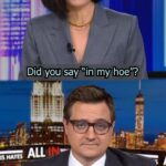 Alex Wagner