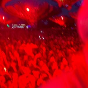Alex Wolff Instagram - Thank u @coachella @zoedonahoe