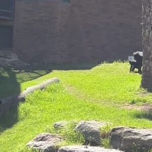 Alex the Astronaut Instagram - Tryin’ my best